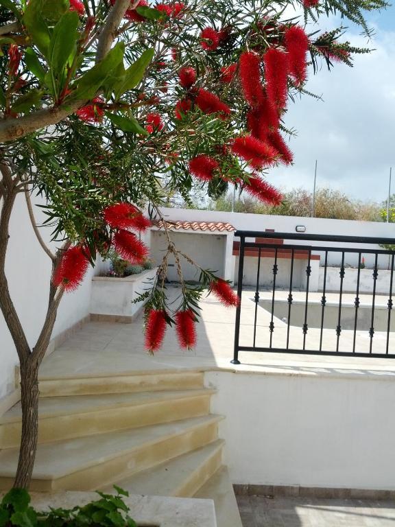 Thalassa Villa Pissouri Exterior photo